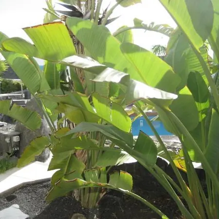 Niki Mit Beheiztem Gemeinschaftspool Fuer 2 Appartments Daire