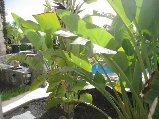 Niki Mit Beheiztem Gemeinschaftspool Fuer 2 Appartments Apartment